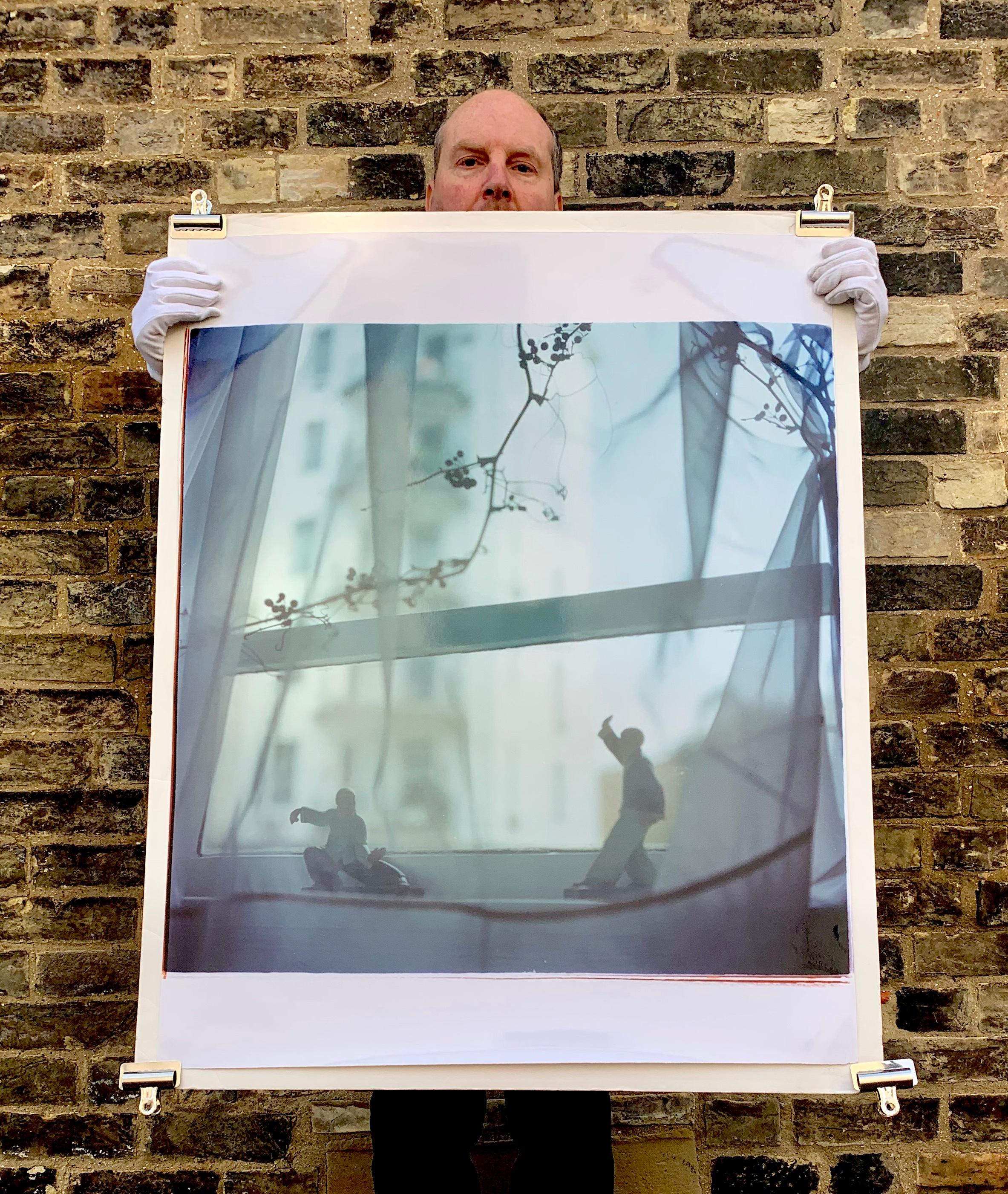 Snake Dips Down, Hong Kong - Natura morta asiatica, fotografia a colori - Photograph Contemporaneo di Richard Heeps