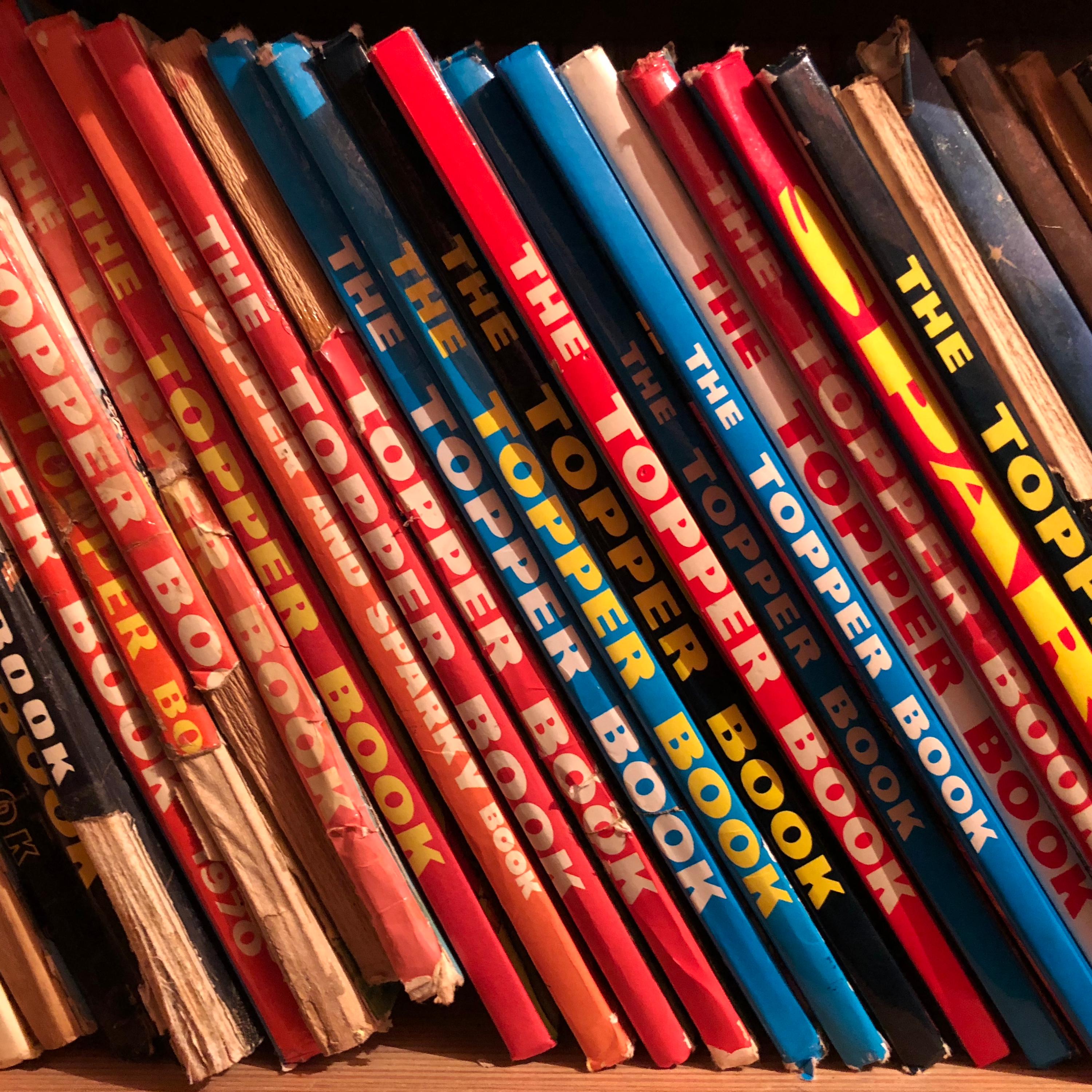 Sparky, Sheringham, 2018 - Photographie multicolore pour reliure de livre vintage