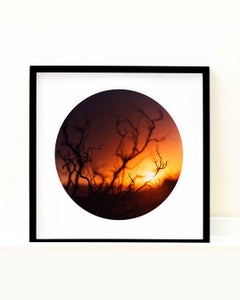 Teakettle Road, California - The Sundance Series - American landscape photograph