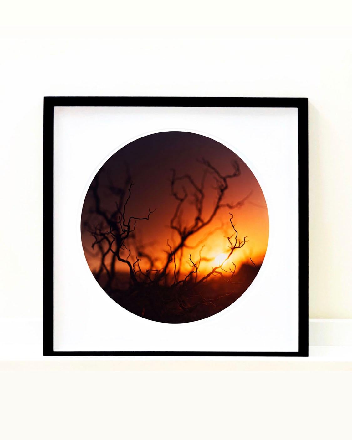 La série Sundance Trio - Photographie de paysages américains en couleur en vente 3