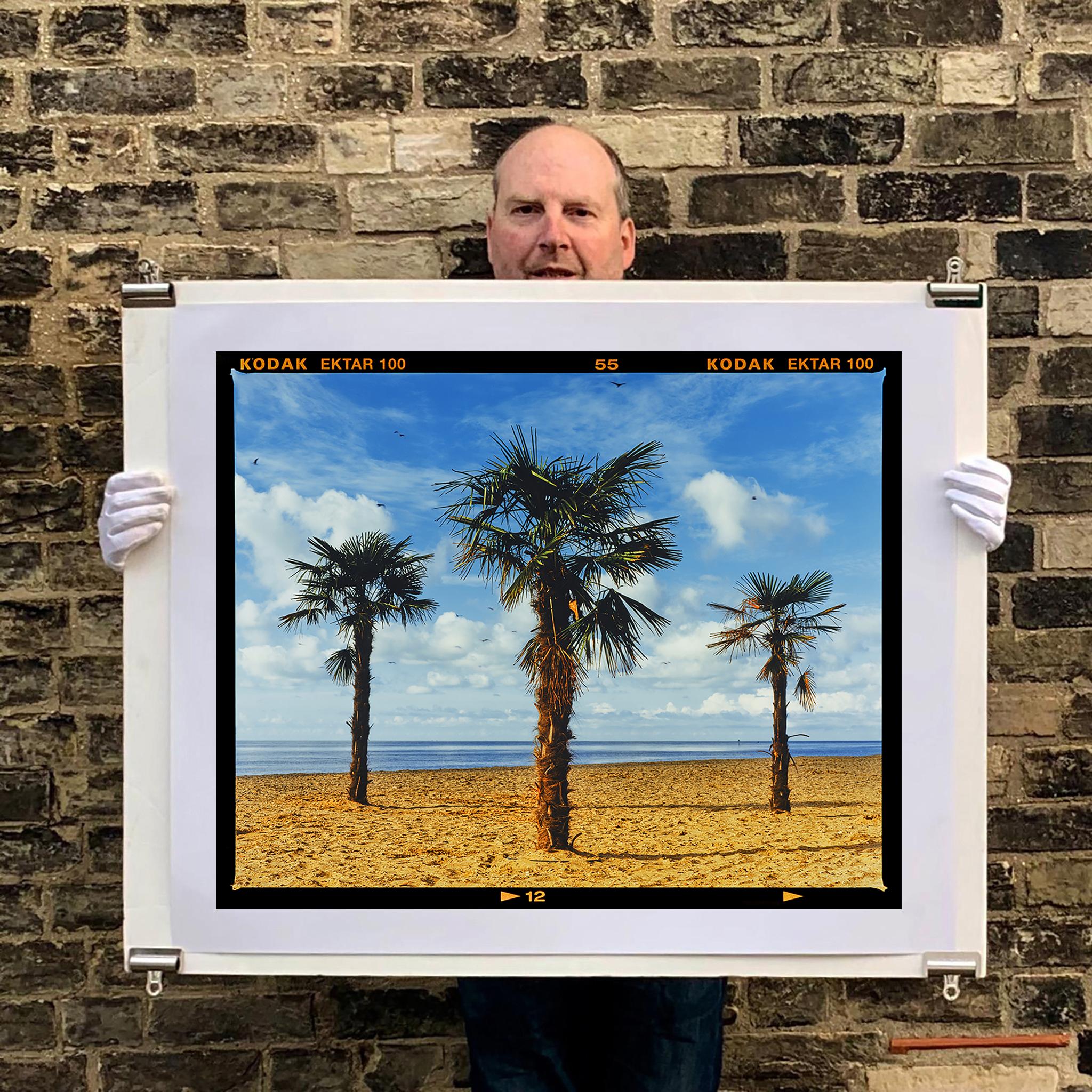 Tres palmeras, Clacton-on-Sea - Fotografía en color de un paisaje británico - Photograph de Richard Heeps
