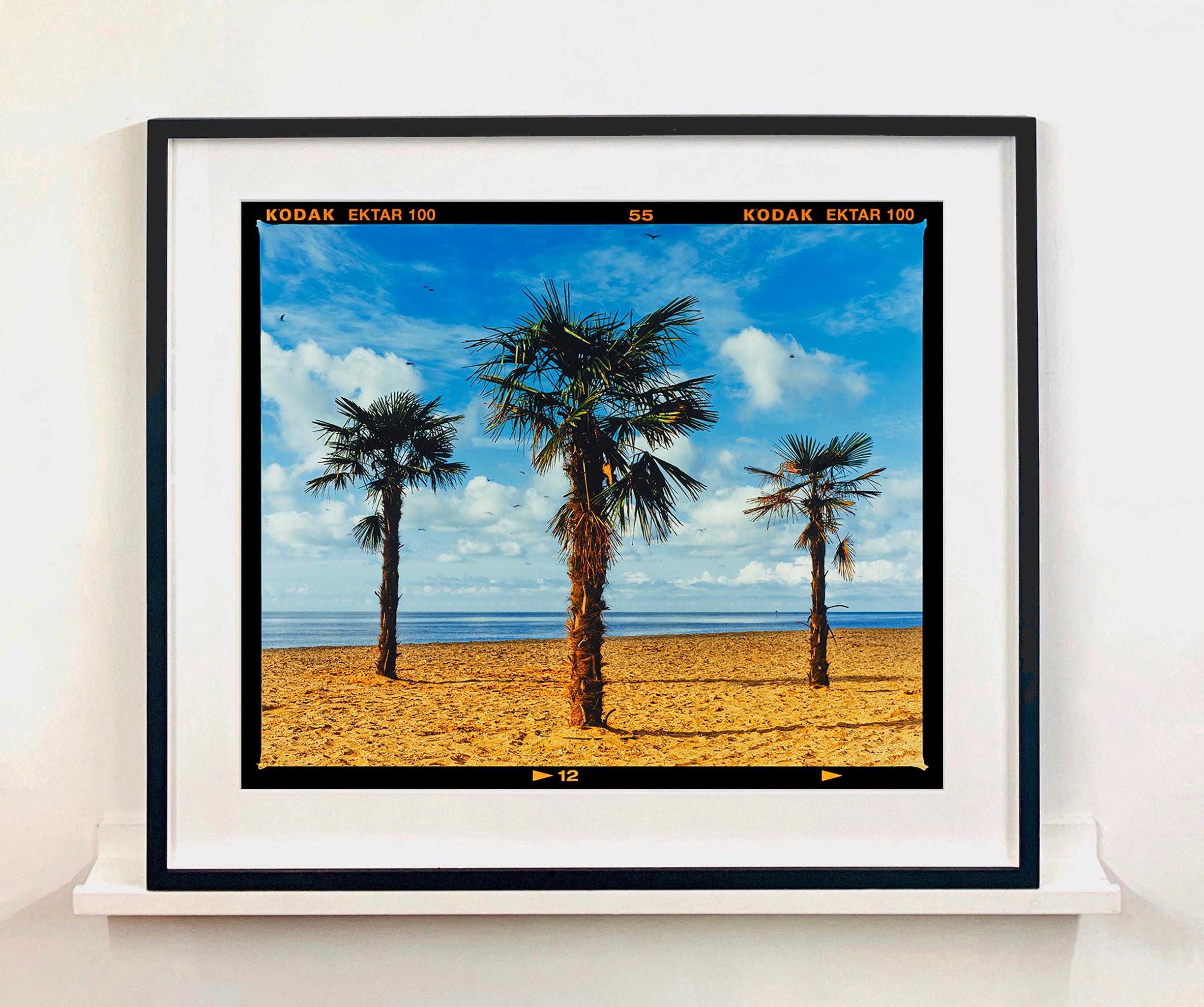 Tres palmeras, Clacton-on-Sea - Fotografía en color de un paisaje británico - Photograph Contemporáneo de Richard Heeps