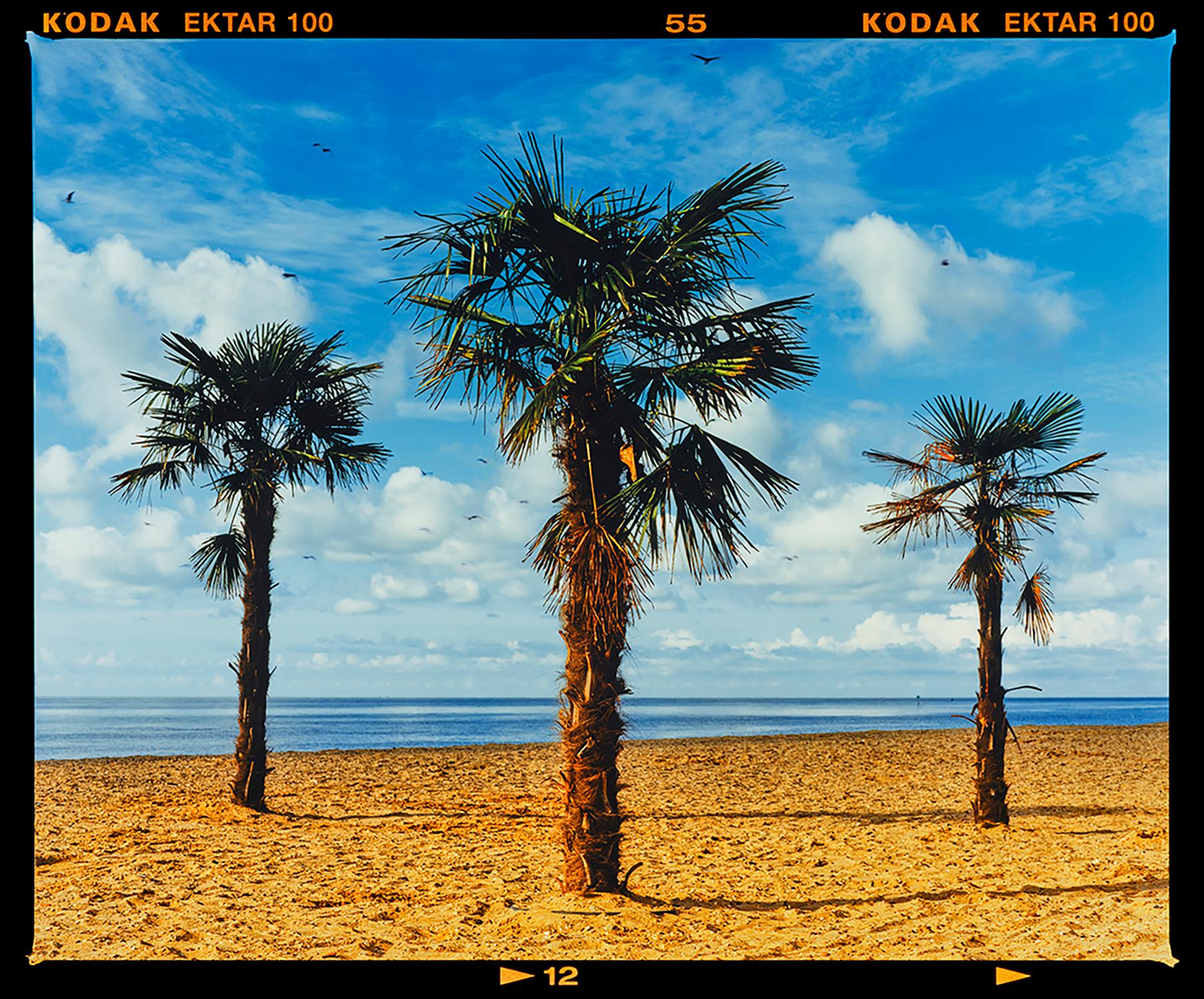 Richard Heeps Landscape Photograph - Three Palms, Clacton-on-Sea - British Landscape Color Photograph
