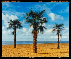Three Palms, Clacton-on-Sea - British Landscape Color Photograph