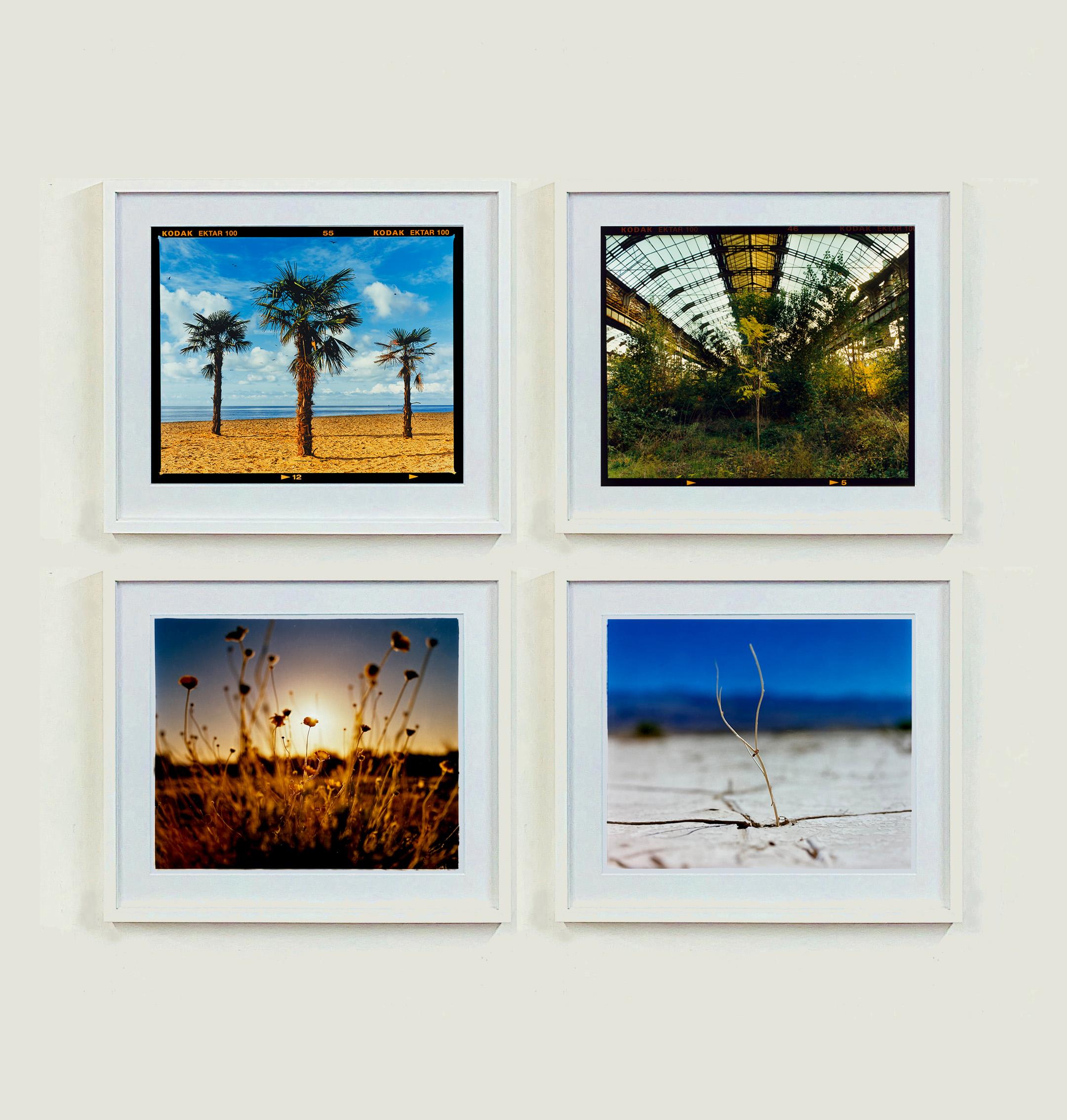 Three Palms, Clacton-on-Sea - British Landscape Color Photography For Sale 1