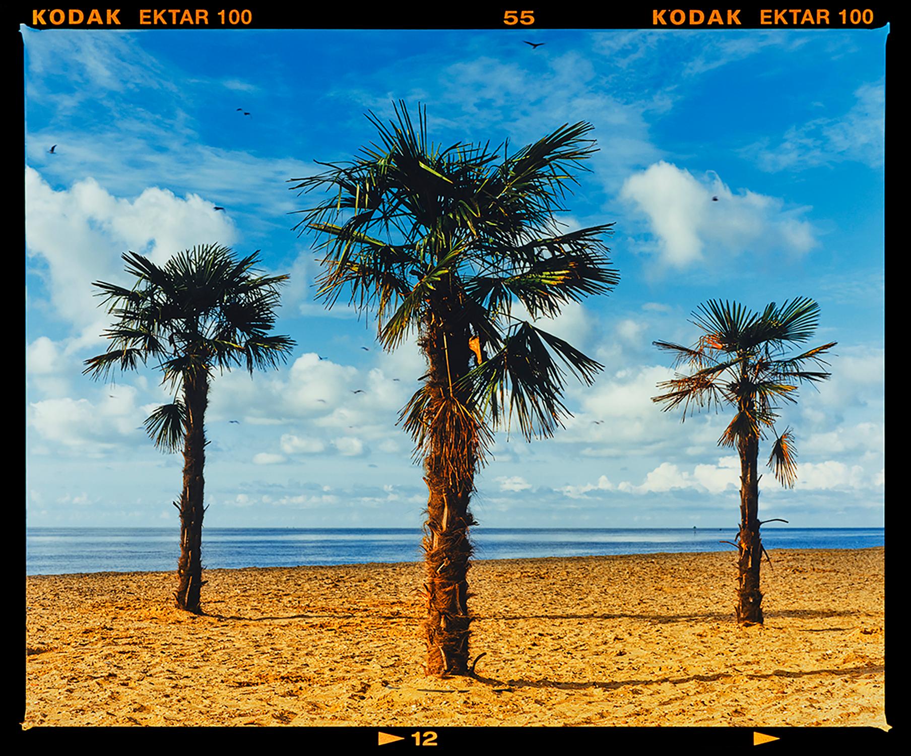 Richard Heeps Landscape Photograph - Three Palms, Clacton-on-Sea - British Landscape Color Photography