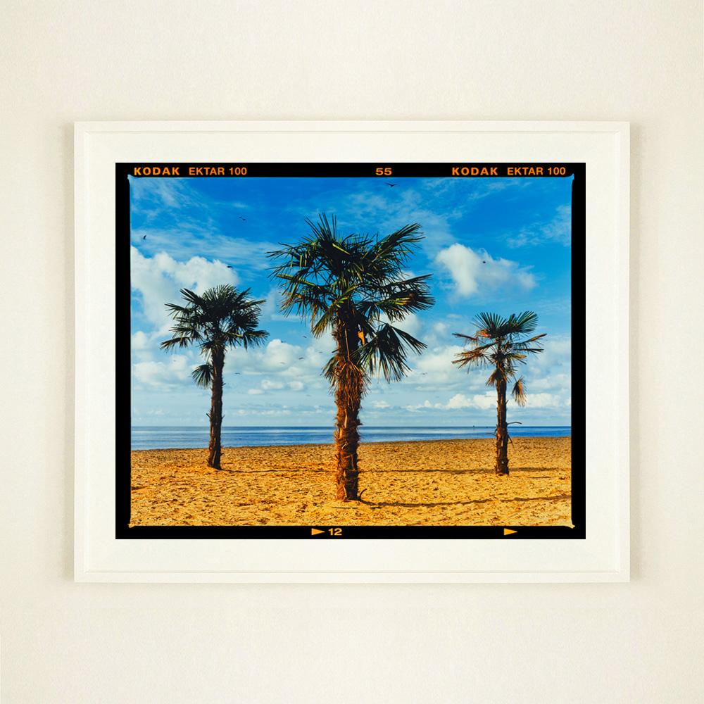 Three Palms, Clacton-on-Sea - Summer Beach Palm Tree Photograph - Print by Richard Heeps