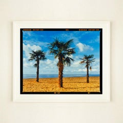 Three Palms, Clacton-on-Sea - Fotografia di una palma da spiaggia estiva