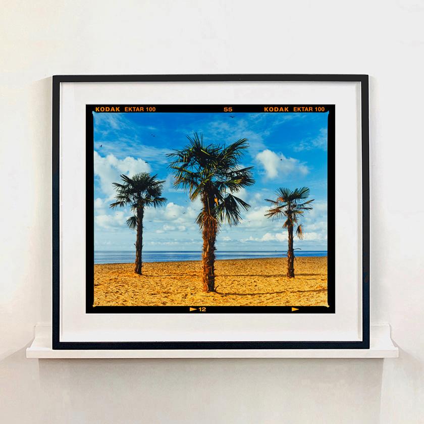 Three Palms, Clacton-on-Sea - Summer Beach Palm Tree Photograph - Contemporary Print by Richard Heeps