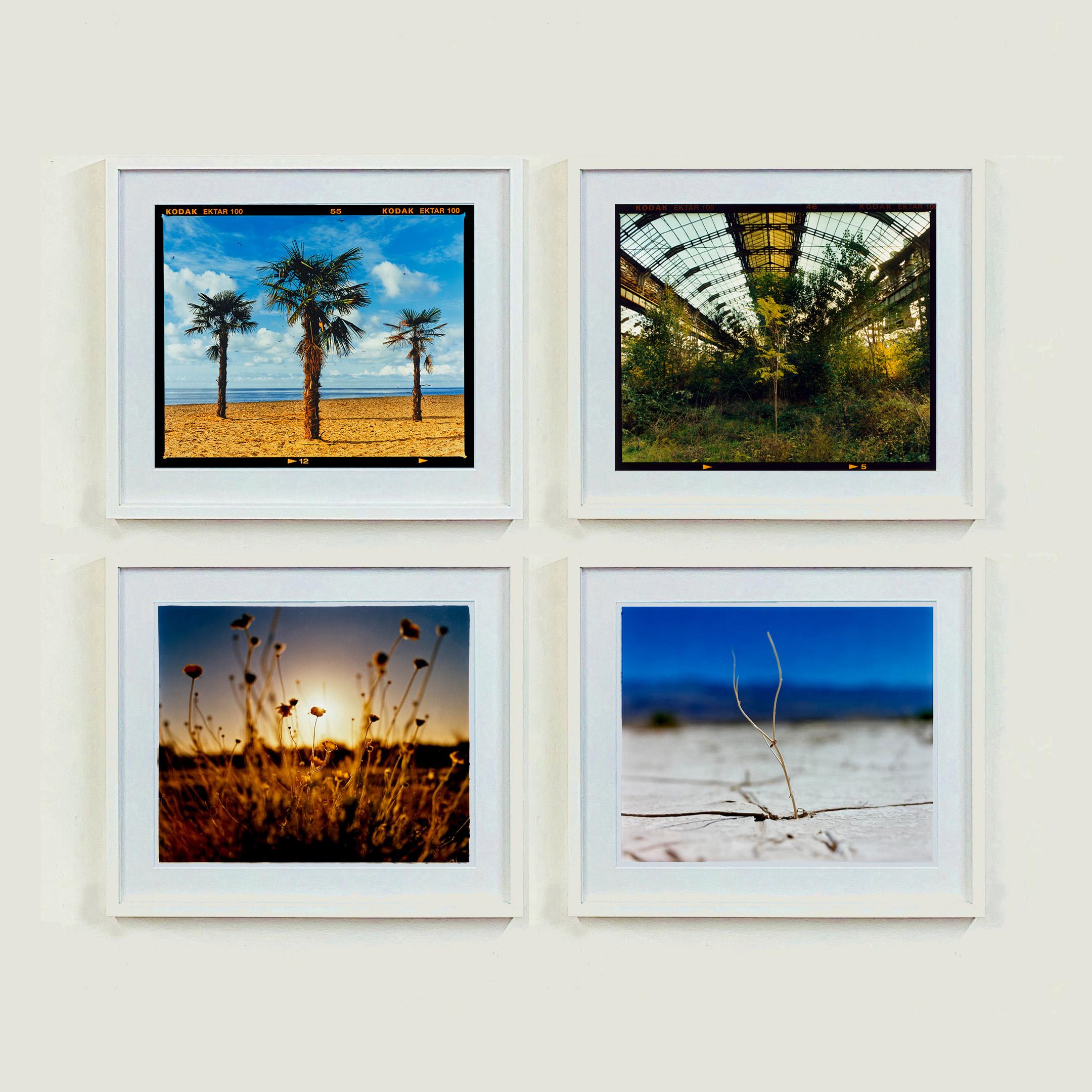 'Three Palms' dalla serie Great British staycation di Richard Heeps, On-Sea. Scattata a Clacton-on-Sea, Richard stava incanalando Hitchcock nella sua mente, stampata nella sua camera oscura a pieno formato con lo sconto sulla pellicola