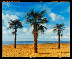 Three Palms, Clacton-on-Sea - Summer Beach Palm Tree Photograph