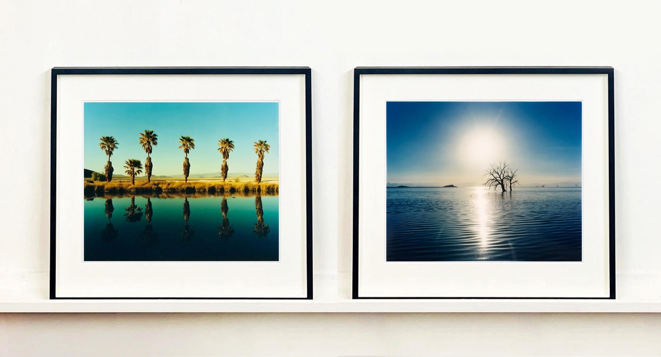 In Richtung Rock Hill, fotografiert von Richard Heeps in Bombay Beach, Salton Sea, Kalifornien. Die Kombination aus den Sonnenstrahlen, die den Horizont schneiden, und der Silhouette des Baumes, der sich unerwartet wie König Artus' Schwert aus dem