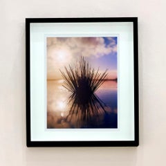 Tussock II, Wicken Fen, Cambridgeshire - landscape nature photograph