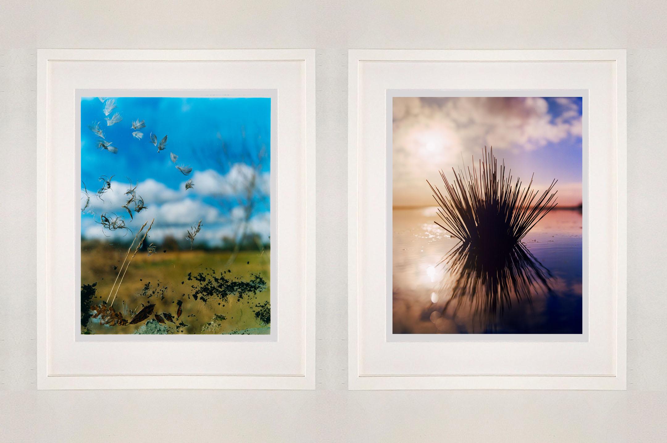 Tussock II, Wicken Fen, Cambridgeshire - landscape nature photograph For Sale 2