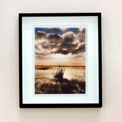 Tussock, Wicken Fen, Cambridgeshire - landscape nature photograph