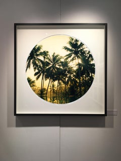 Vetyver Pool, Kerala - Tropical Palm Print Color Photography