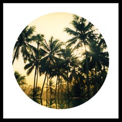 Vetyver Pool, Kerala - Tropical Palm Print Color Photography