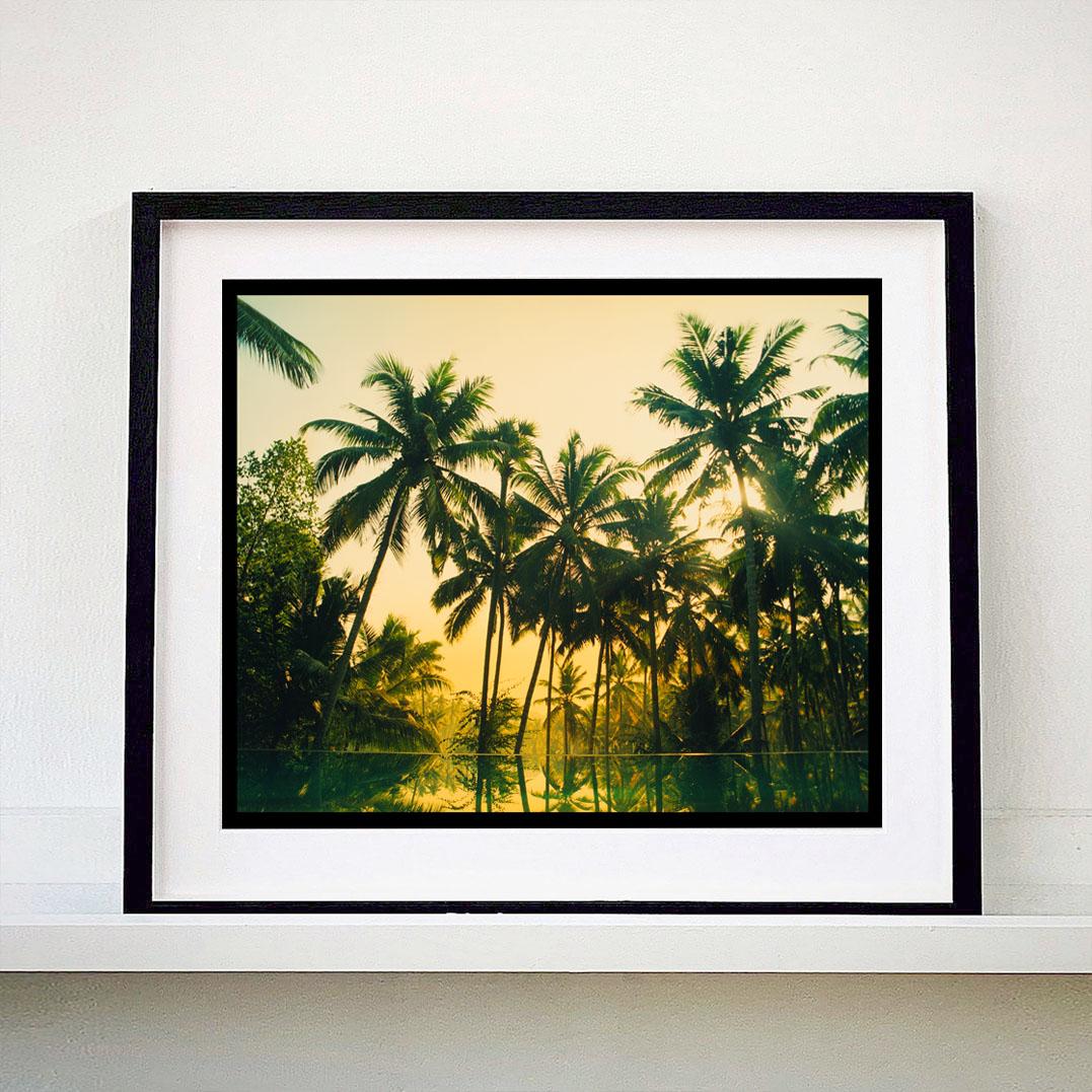 Vetyver Pool, Poovar, Kerala - Tropical Palm Print Indian Color Photography For Sale 1