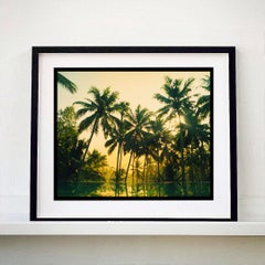 Vetyver Pool, Poovar, Kerala - Tropical Palm Print Indian Color Photography