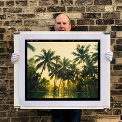 Vetyver-Poovar, Kerala – tropischer Palmendruck, indische Farbfotografie