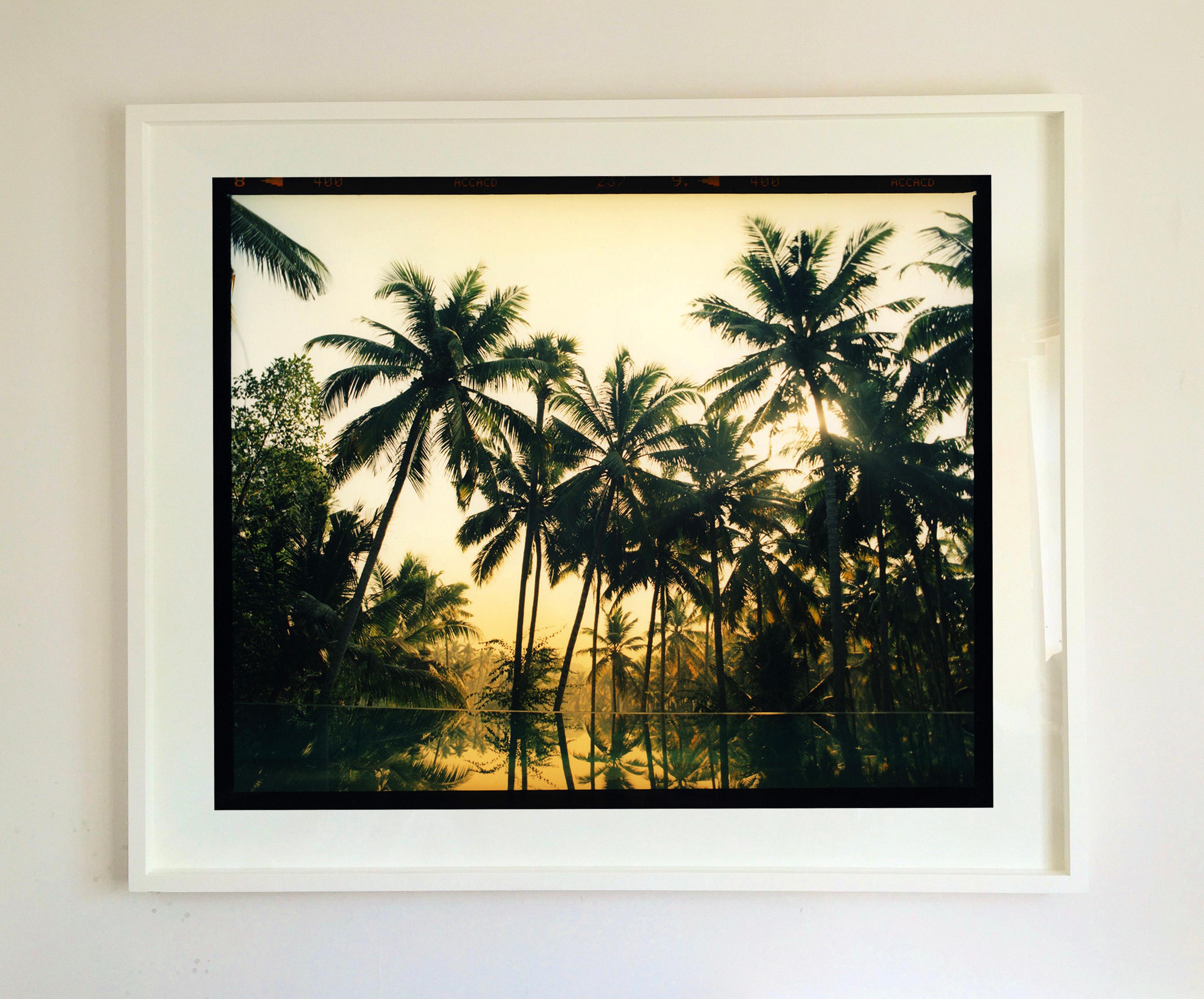 Photographed on Richard's journey in India, a pilgrimage from Kerala in the South, to his Grandfather's birthplace Meerut in the North. Shot in Kerala in 2013 this gorgeous palm tree lagoon warms a room, taking you somewhere tropical. Richard is