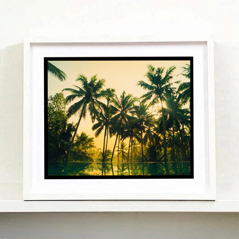 Vetyver Pool, Poovar, Kerala - Tropical Palm Print Indian Color Photography For Sale 2