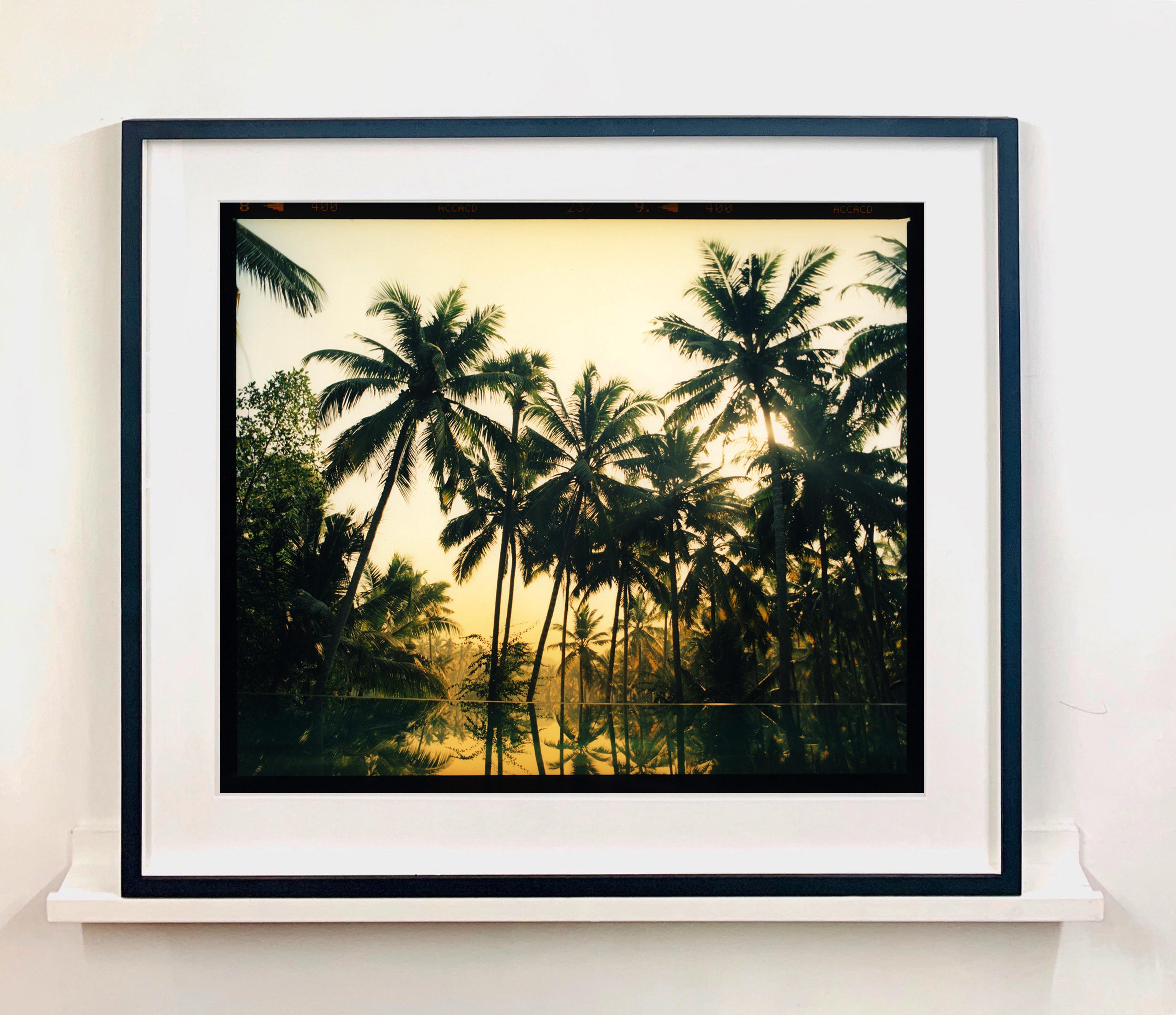 Photographie du voyage de Richard en Inde, un pèlerinage du Kerala au sud, à Meerut, la ville natale de son grand-père, au nord. Tourné au Kerala en 2013, ce magnifique lagon de palmiers réchauffe une pièce et vous emmène dans un endroit tropical.