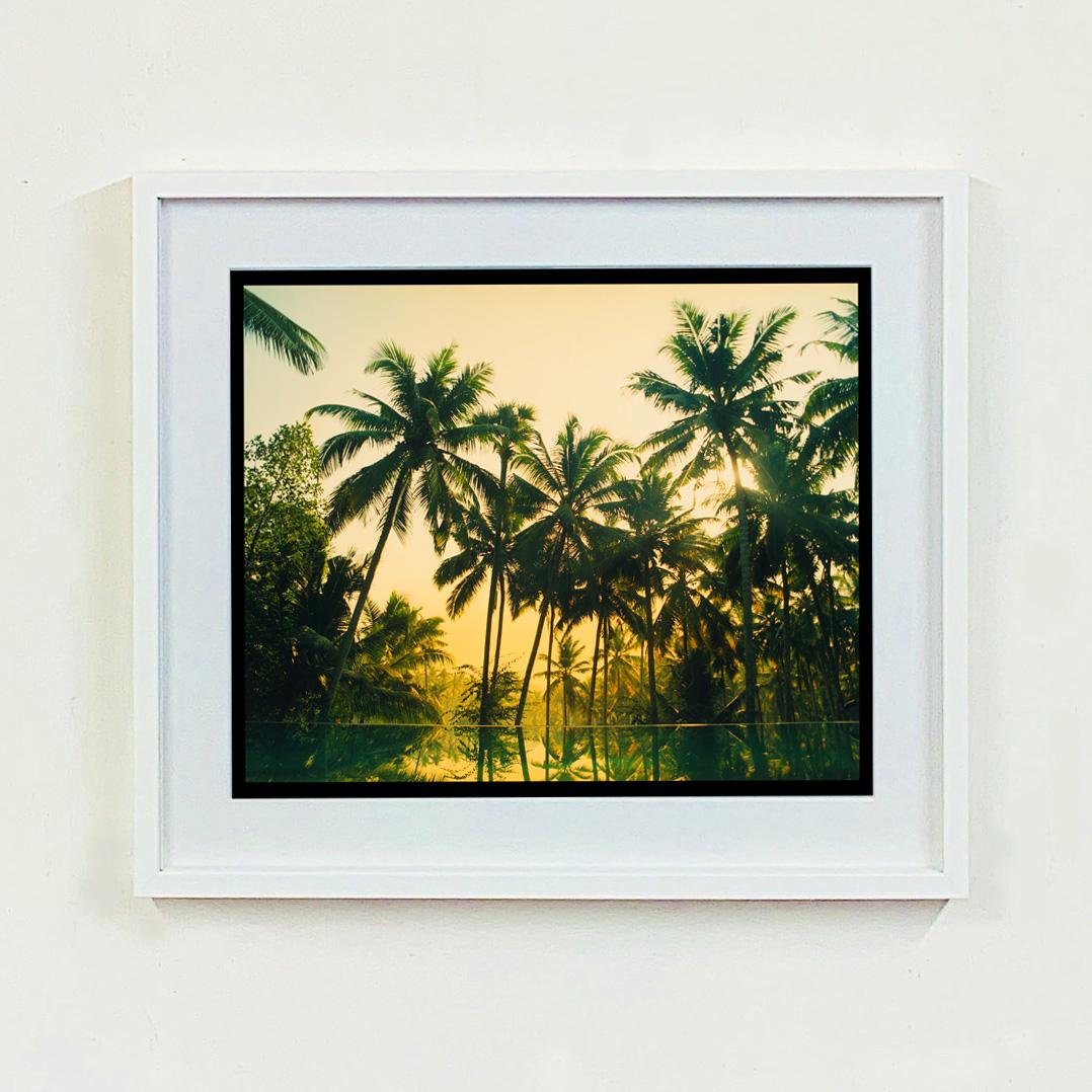 Vetyver Pool, Poovar, Kerala - Tropical Palm Print Indian Color Photography For Sale 4