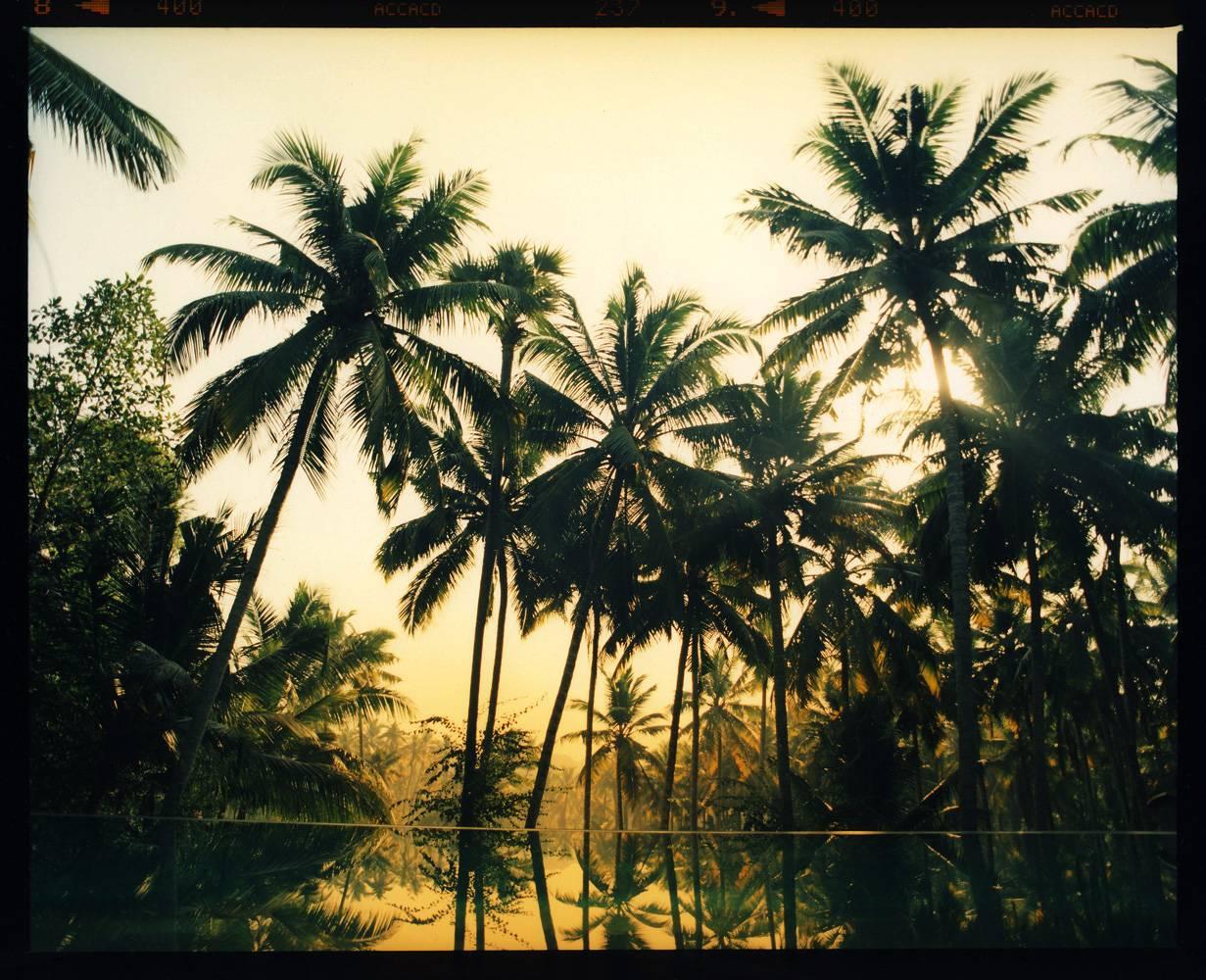 Color Photograph Richard Heeps - Pool Vetyver, Poovar, Kerala - Photographie couleur indienne de palmier tropical