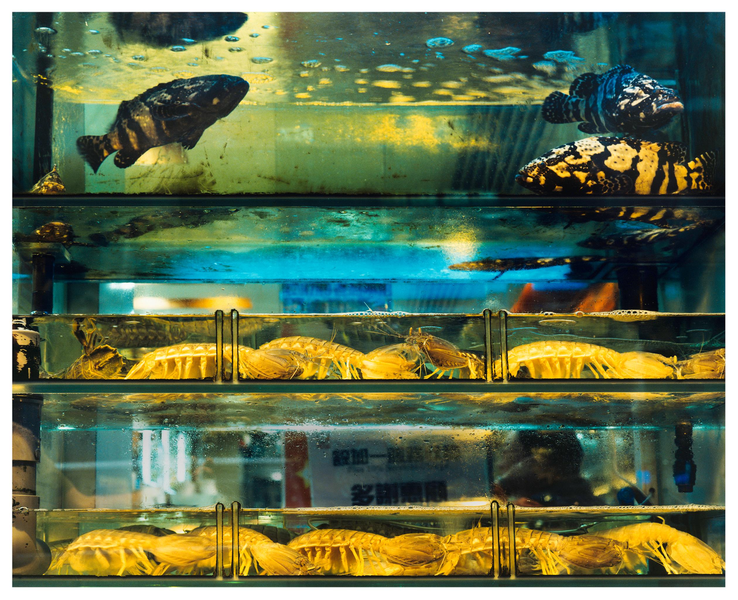 Richard Heeps Print – Wet Market, Kowloon, Hongkong – Asiatische Farbfotografie in Fischenform