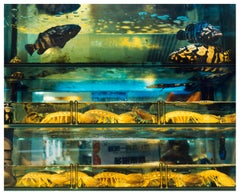 Market Wet Market, Kowloon, Hong Kong - Photographie asiatique couleur poisson