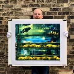 Wet Market, Kowloon, Hong Kong – Farbfotografie von Fischenpanzern