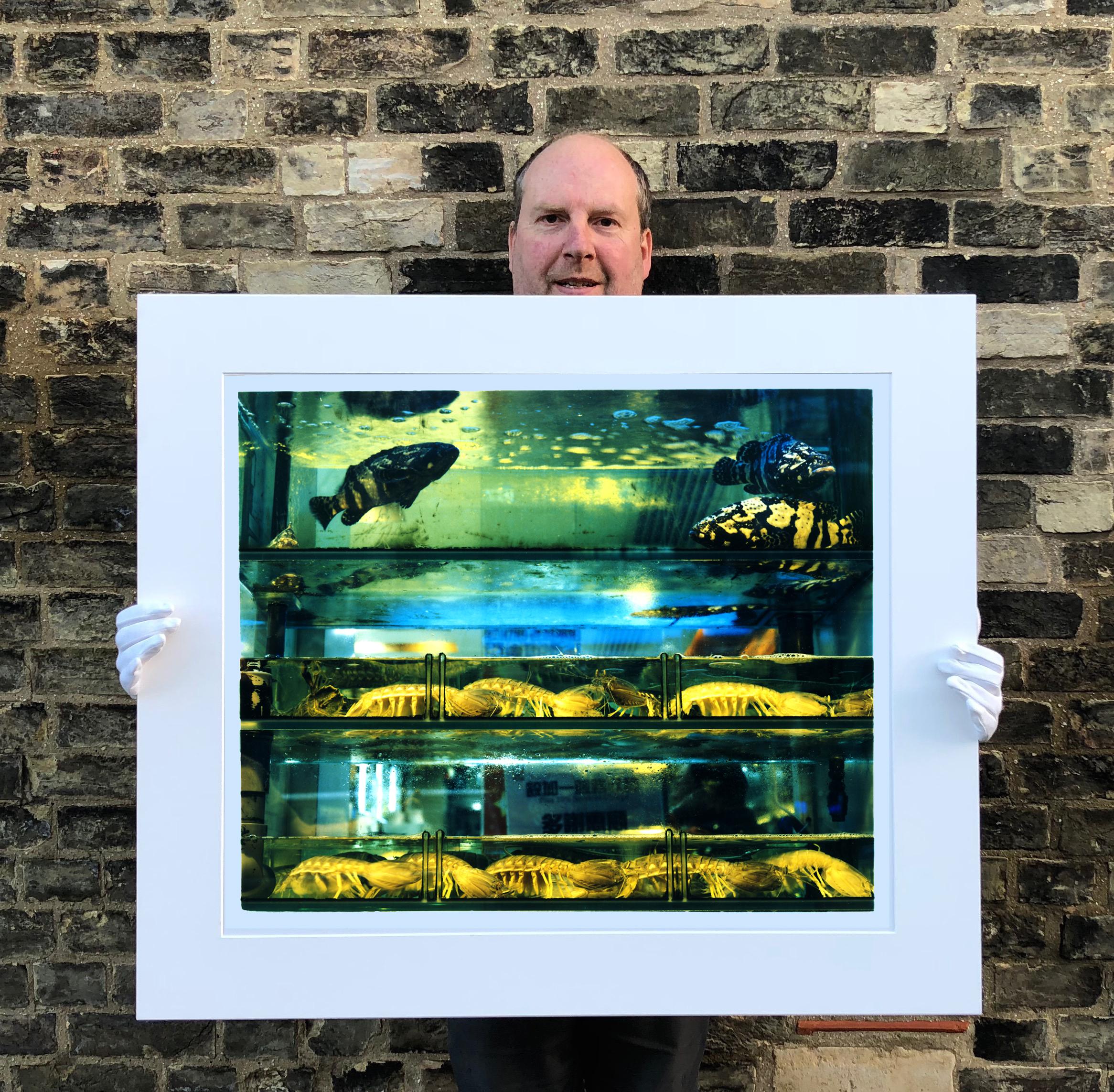 Wet Market, Kowloon, Hong Kong - Fish Tank Color Photography - Conceptual Print by Richard Heeps