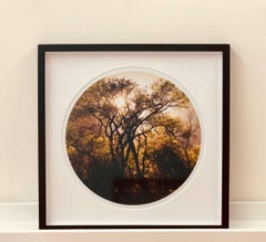 Zion, Kalifornien – Die Sundance-Serie