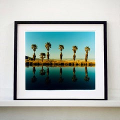 Zzyzx Resort Pool II, Soda Dry Lake, California - Paesaggio americano foto a colori