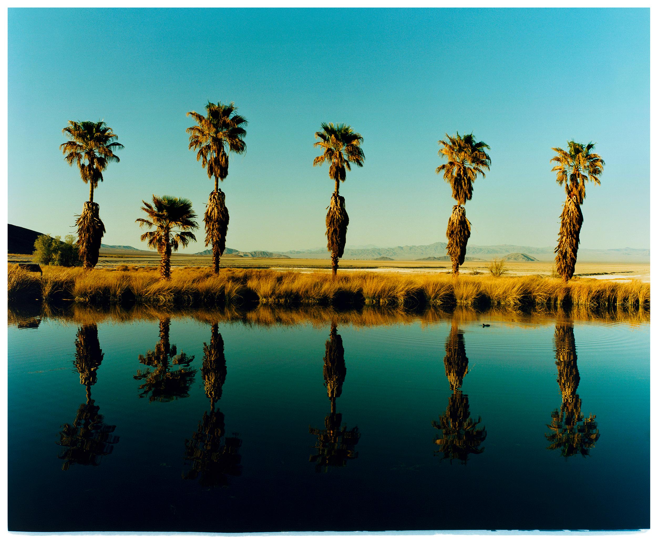 Richard Heeps Print – Zzyzx Resort-Pool II, Soda-Trockensee, Kalifornien – amerikanische Landschaft, Farbfoto