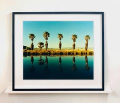 Zzyzx Resort Pool II, Soda Dry Lake, California - Palm Print Color Photography