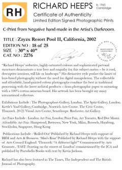 Zzyzx Resort Pool II, Soda Dry Lake, California - Palm Print Color Photography