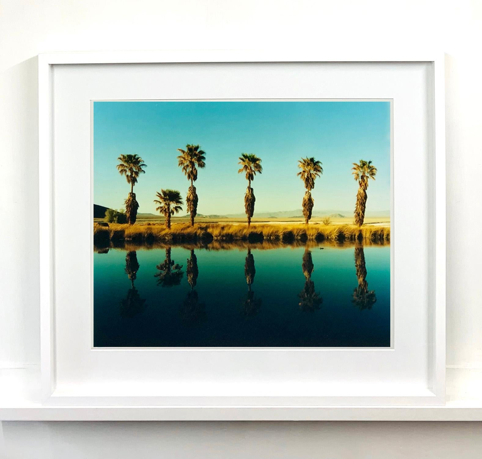 Zzyzx Resort Pool II, Soda Dry Lake, Kalifornien – Farbfotografie mit Palmenprint – Photograph von Richard Heeps