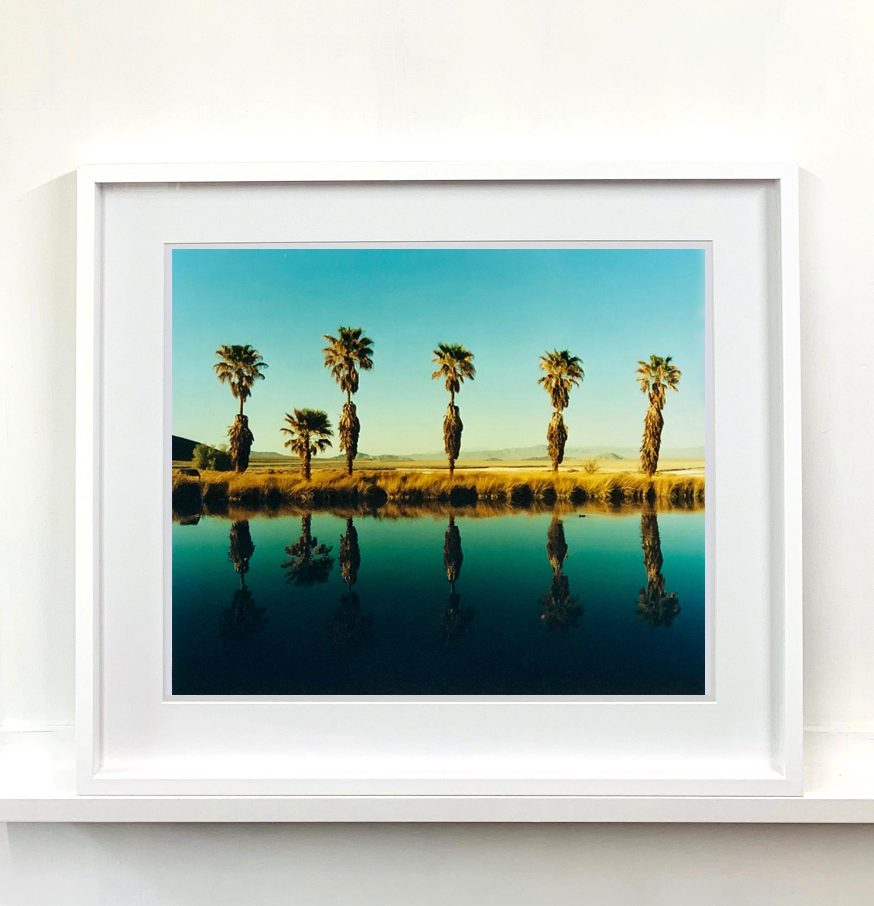 Zzyzx Resort Pool II, Soda Dry Lake, California - Palm Print Color Photography For Sale 2