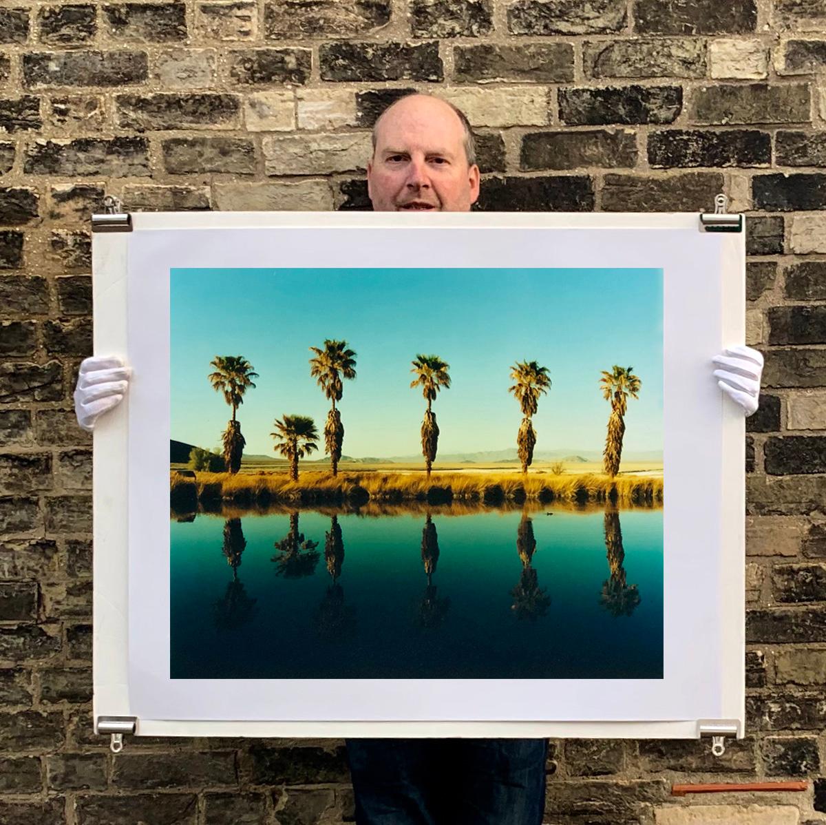 Zzyzx Resort Pool II, Soda Dry Lake, Kalifornien – Farbfotografie mit Palmenprint (Zeitgenössisch), Photograph, von Richard Heeps