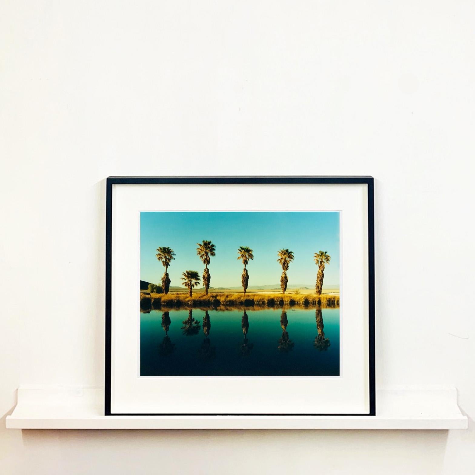 Zzyzx Resort Pool II, Soda Dry Lake, Kalifornien – Farbfotografie mit Palmenprint (Zeitgenössisch), Photograph, von Richard Heeps
