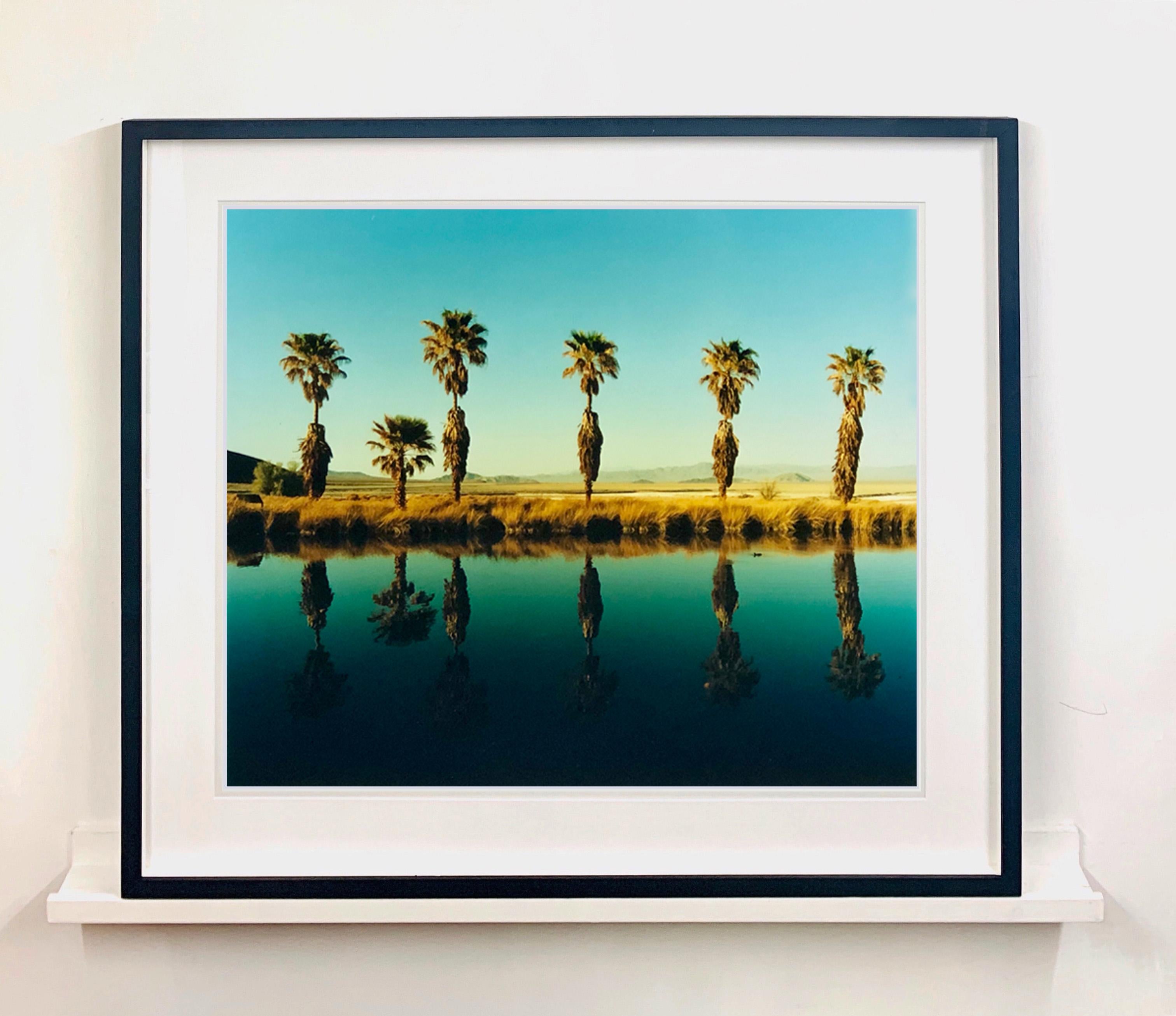 Zzyzx Resort Pool II, Soda Dry Lake, Kalifornien – Farbfotografie mit Palmenprint (Schwarz), Color Photograph, von Richard Heeps