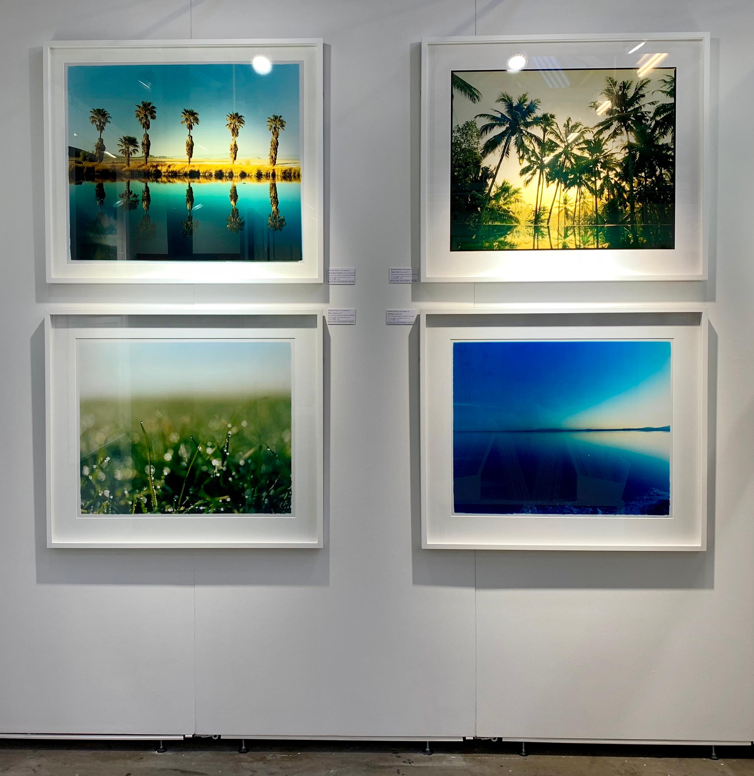 Zzyzx Resort Pool II, Soda Dry Lake, Kalifornien – Farbfotografie mit Palmenprint im Angebot 2