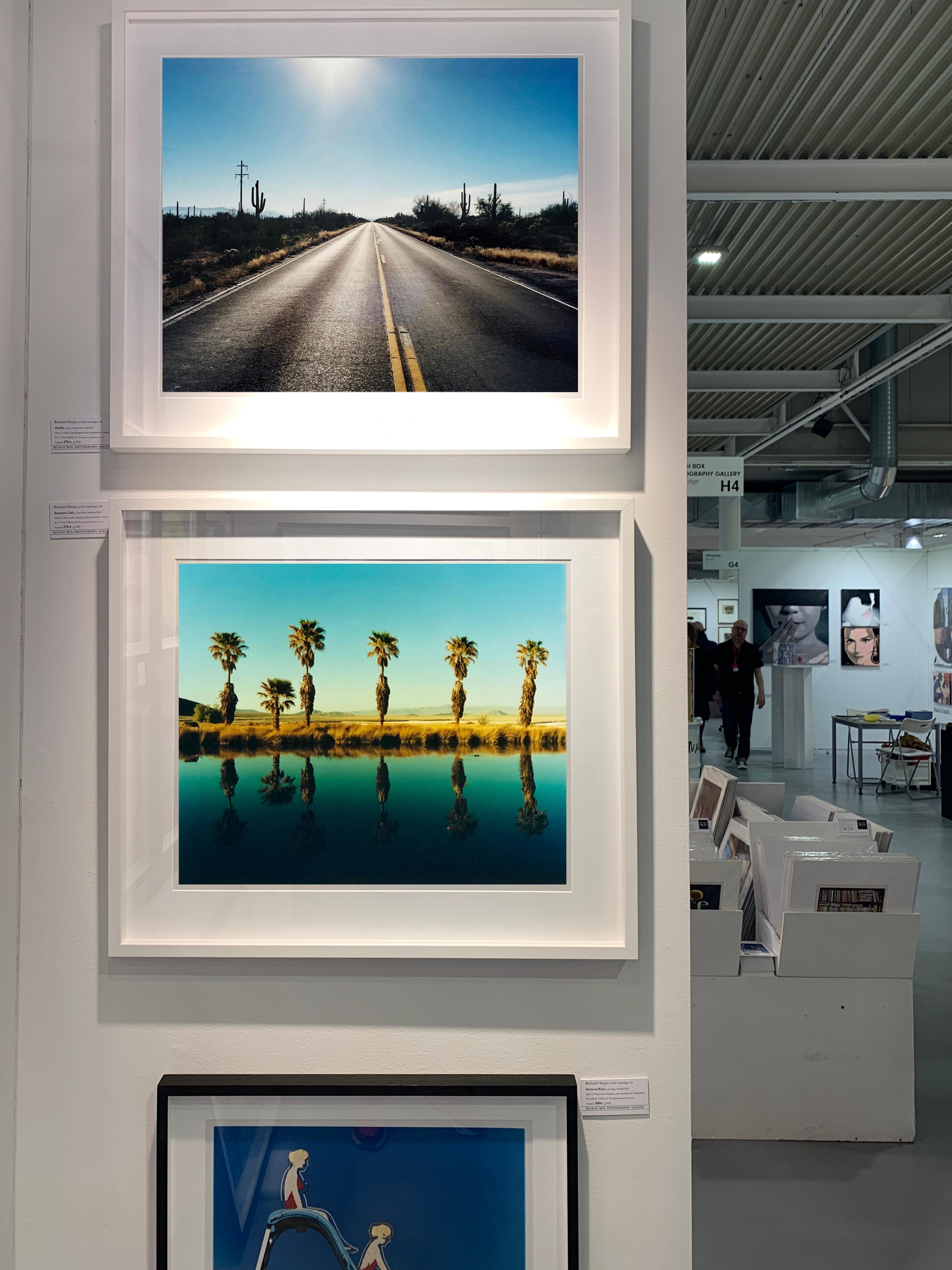 Zzyzx Resort Pool II, Soda Dry Lake, Kalifornien – Farbfotografie mit Palmenprint im Angebot 2