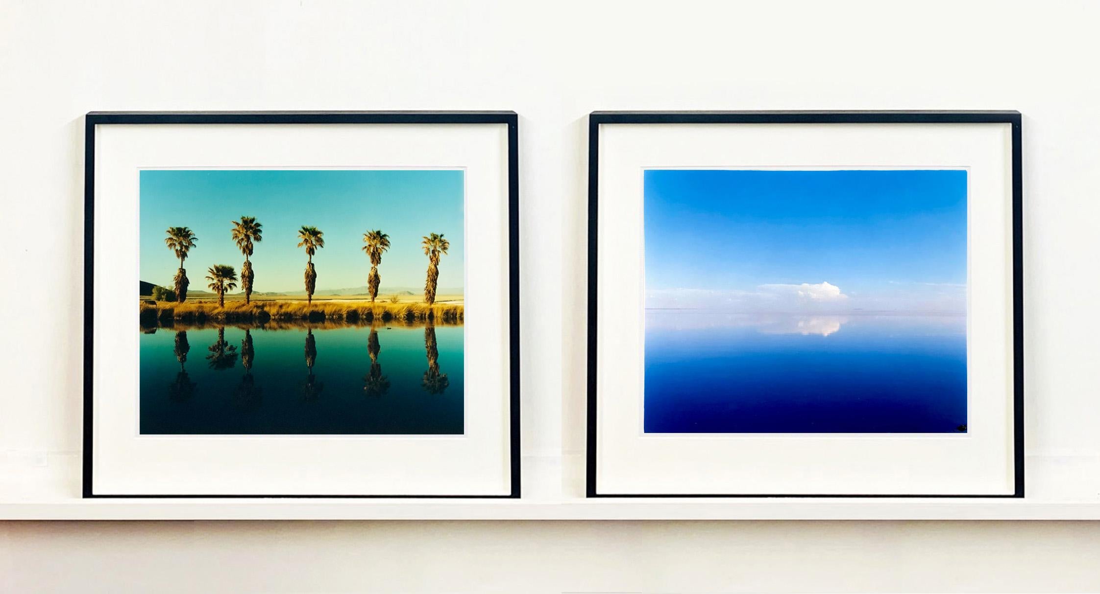 Zzyzx Resort Pool II, Soda Dry Lake, Kalifornien – Farbfotografie mit Palmenprint im Angebot 3