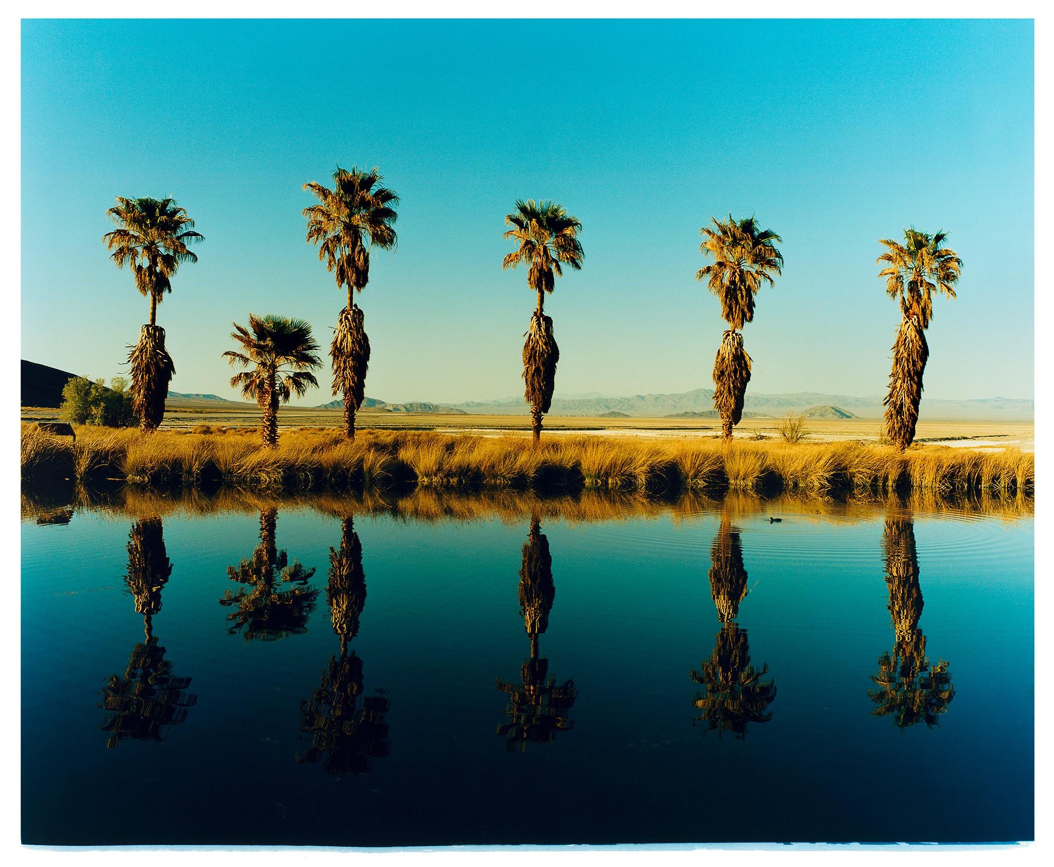'Zzyzx Resort Pool', photograph from Richard Heeps 'Dream in Colour' Series.
When travelling on a road trip from LA to Las Vegas, Richard was set a challenge to find something interesting on route. In the heart of the Mojave Desert, Richard found