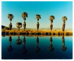 Zzyzx Resort Pool II, Soda Dry Lake, California - Palm Print Color Photography