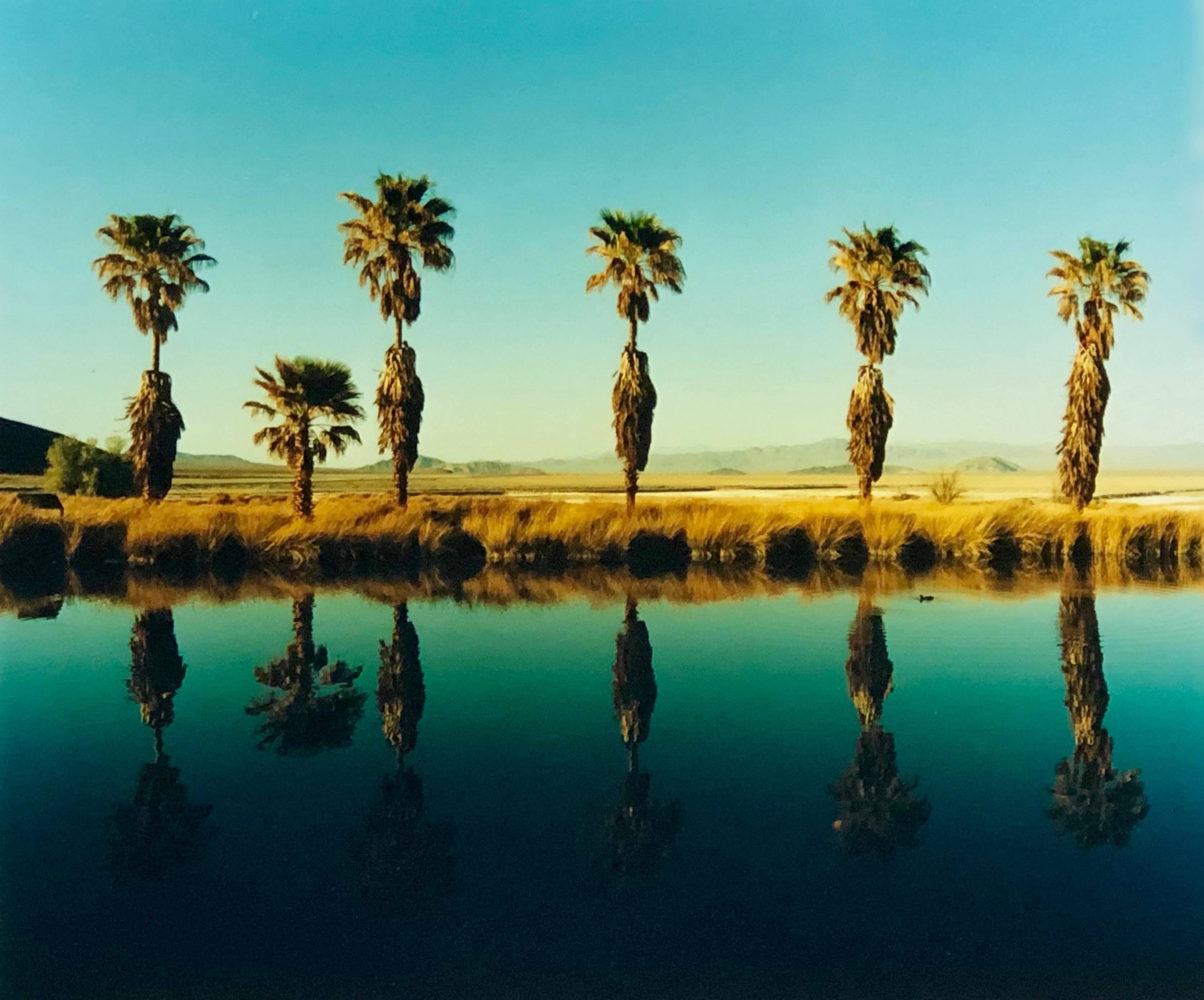 Richard Heeps Color Photograph – Zzyzx Resort Pool II, Soda Dry Lake, Kalifornien – Farbfotografie mit Palmenprint