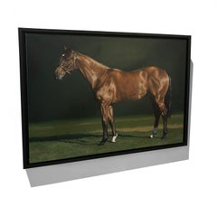 Photorealist equestrian painting, "Bay" Inspired by George Stubbs
